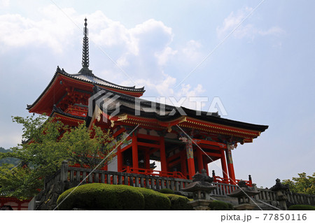 初夏の清水寺 初夏の清水寺 77850116