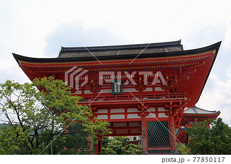 初夏の清水寺 初夏の清水寺 77850117