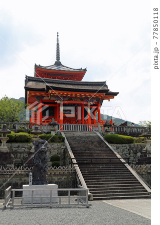 初夏の清水寺 初夏の清水寺 77850118