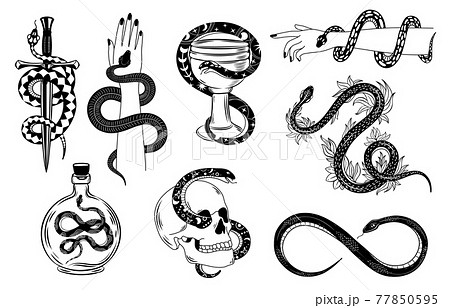 Snake  Skulls If you want to order your custom tattoo design contact us  dmany style any size any content Follow us toptattoos  Instagram