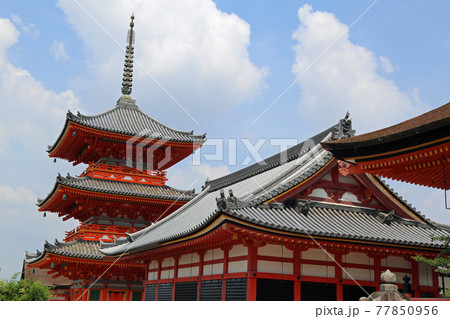 初夏の清水寺 77850956