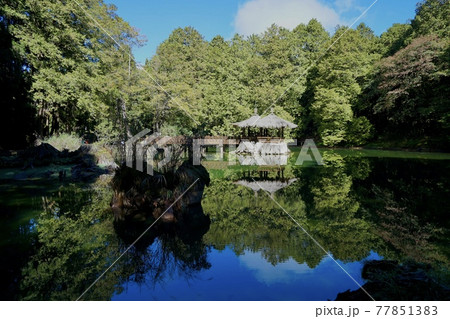 池 溜池 池底 77851383