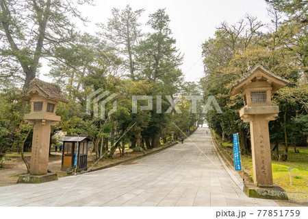 島根県出雲市 出雲大社へ進む下り参道 島根県出雲市 出雲大社へ進む下り参道 77851759