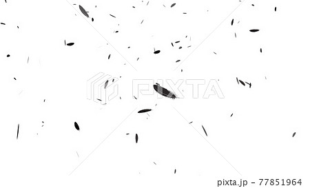 黒い羽根 舞う 白背景 Cg 背景 壁紙のイラスト素材