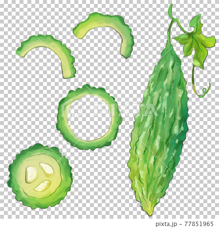 Bitter gourd set 77851965