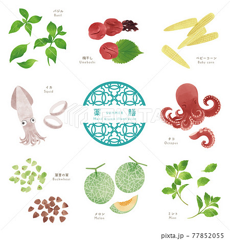 夏の薬膳/食材の手描きイラスト-2 77852055