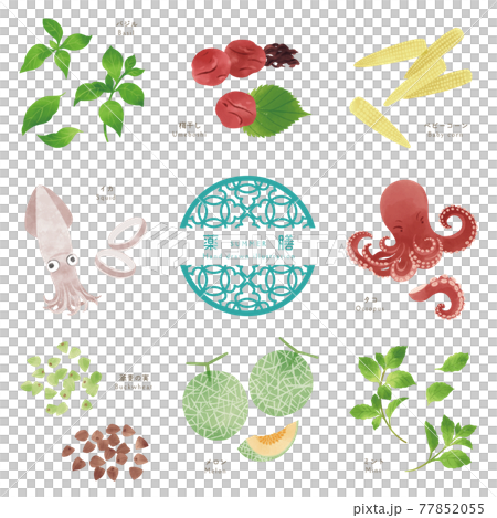 Summer medicinal food / hand-drawn illustration of ingredients-2 77852055