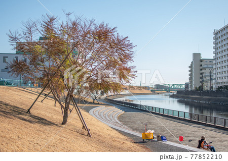 新河岸川沿い/東京都北区浮間 新河岸川沿い/東京都北区浮間 77852210