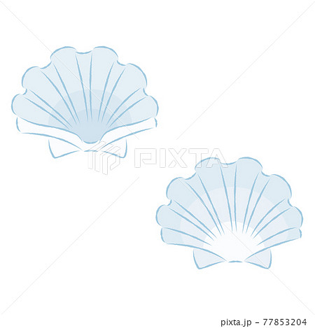 貝殻のイラスト1のイラスト素材