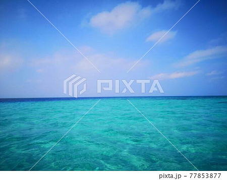 宮古島のダイビングスポット八重干瀬（ヤビジ） 77853877