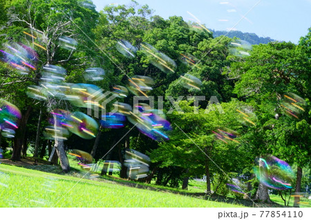 風が強くてピントが合わないシャボン玉 風が強くてピントが合わないシャボン玉 77854110