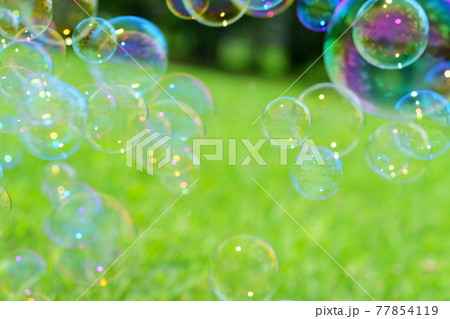 野原でシャボン玉を追いかける 野原でシャボン玉を追いかける 77854119