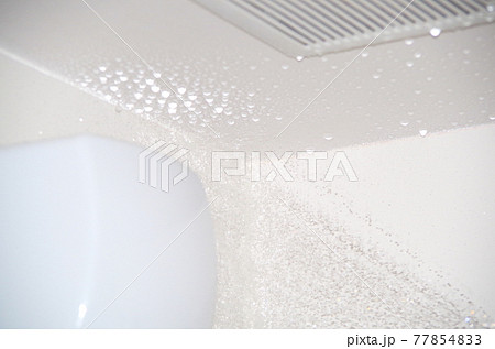 浴室の天井の隅にカビ取り剤を噴射して暫く放置してからシャワーの水で徹底的に気が済むまで濯いでいる様子 浴室の天井の隅にカビ取り剤を噴射して暫く放置してからシャワーの水で徹底的に気が済むまで濯いでいる様子 77854833
