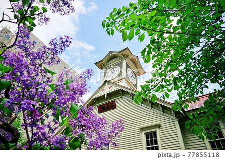 札幌市時計台 77855118