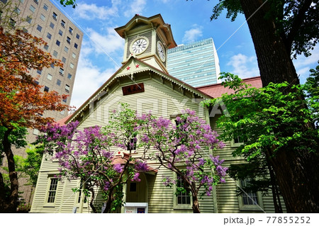 札幌市時計台 札幌市時計台 77855252