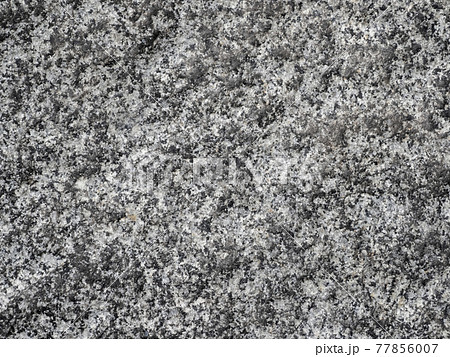 石壁・背景素材 77856007