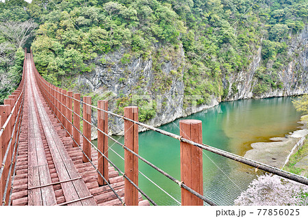 【立神峡 (火の国橋)】 熊本県八代郡氷川町立神 【立神峡 (火の国橋)】 熊本県八代郡氷川町立神 77856025