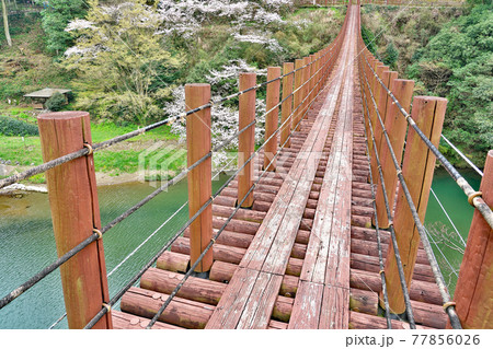 【立神峡 (火の国橋)】 熊本県八代郡氷川町立神 【立神峡 (火の国橋)】 熊本県八代郡氷川町立神 77856026