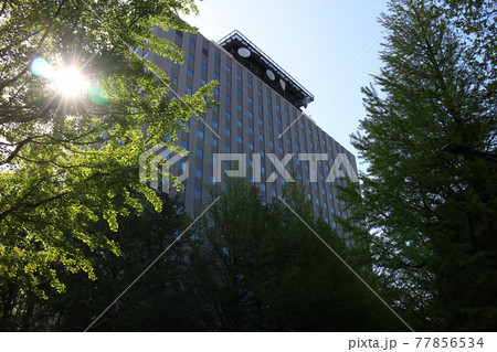 仙台市青葉区　仙台合同庁舎B棟周辺 77856534