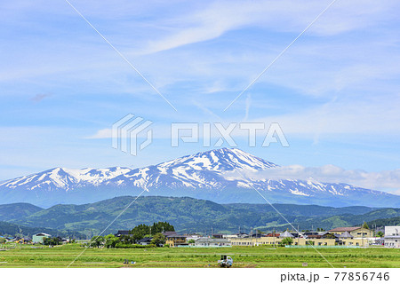 庄内平野より鳥海山を望む 77856746