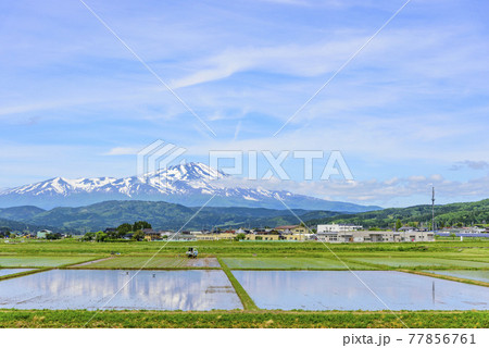 庄内平野より鳥海山を望む 77856761