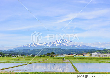 庄内平野より鳥海山を望む 77856762
