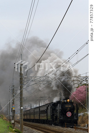 信越本線　SLぐんまよこかわ　D51 77857329