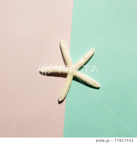 Starfish on pink and green background. summer marine decoration. flat lay, top view, copy space Starfish on pink and green background. summer marine decoration. flat lay, top view, copy space 77857433