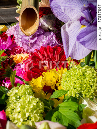 お花が溢れる手水鉢 77857847