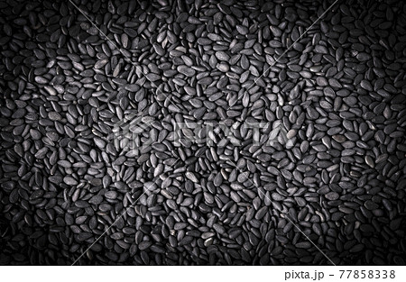 close up of Background of black wild rice. Selective focus close up of Background of black wild rice. Selective focus 77858338