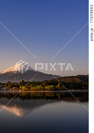 （山梨県）早朝の逆さ富士と河口湖 77858663