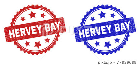 HERVEY BAY Rosette Watermarks with Scratched Surface 77859689