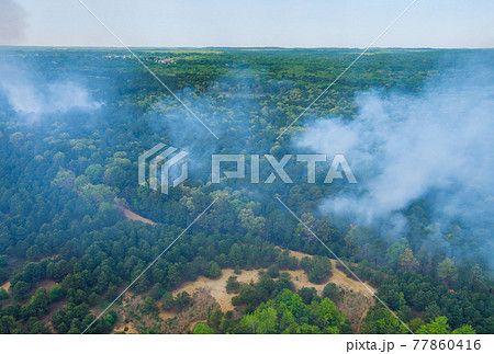 Aerial view of forest fire in spring fire in the forest Aerial view of forest fire in spring fire in the forest 77860416