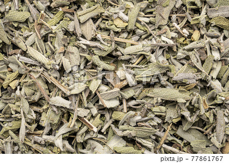 loose leaves of dry sage herb loose leaves of dry sage herb 77861767