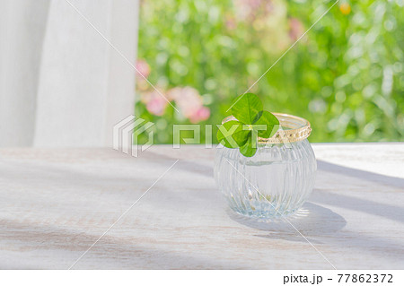 カーテン越しにキラキラ輝くガラスの四つ葉のクローバー 77862372