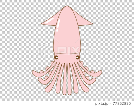 插圖與魷魚的形象 插圖與魷魚的形象 77862850