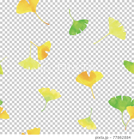 Dancing ginkgo leaves. Watercolor illustration seamless, continuous pattern (white background) Dancing ginkgo leaves. Watercolor illustration seamless, continuous pattern (white background) 77862884