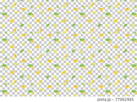 Dancing ginkgo leaves. Watercolor illustration background material A4, A3 ratio (white background) Dancing ginkgo leaves. Watercolor illustration background material A4, A3 ratio (white background) 77862985