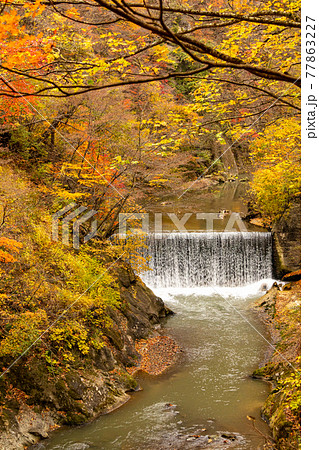 山の紅葉 山の紅葉 77863227