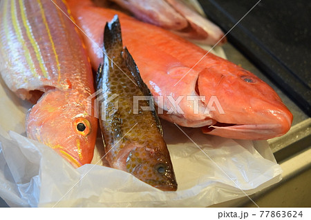 魚 食材 複数 魚 食材 複数 77863624