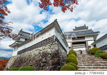 紅葉の郡上八幡城〈岐阜県郡上市〉 77864002