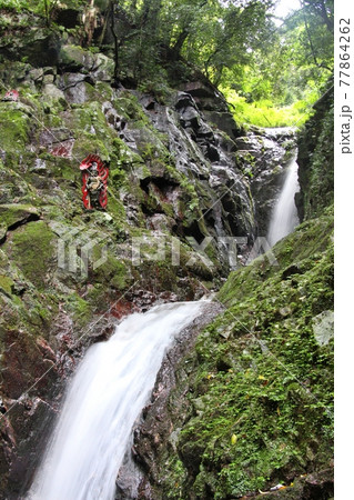 佐賀県の猪堀の滝 佐賀県の猪堀の滝 77864262