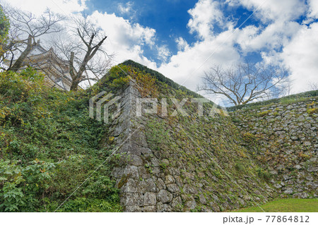 愛媛 宇和島城 二の丸登城道 愛媛 宇和島城 二の丸登城道 77864812
