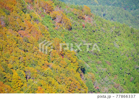 青森県むつ市 恐山山地(釜臥山)の紅葉 青森県むつ市 恐山山地(釜臥山)の紅葉 77866337