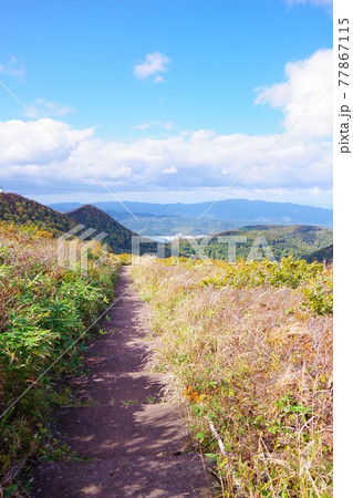 青森県むつ市 釜臥山の遊歩道から宇曽利山湖を望む 青森県むつ市 釜臥山の遊歩道から宇曽利山湖を望む 77867115