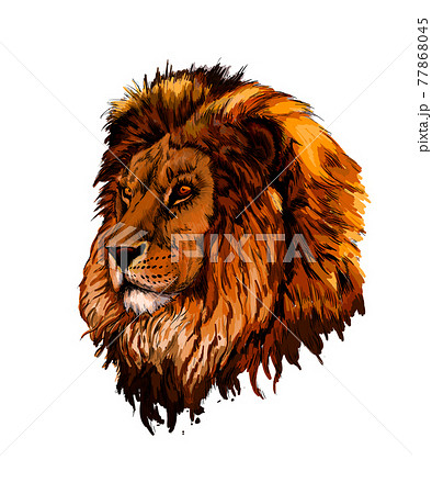2,959 Roaring Lion Sketch Images, Stock Photos & Vectors | Shutterstock