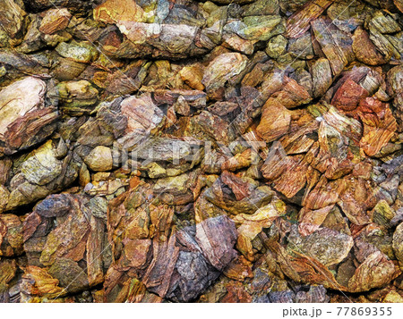 stone texture 77869355