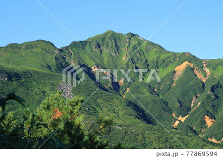 【北海道】十勝連峰富良野岳の景色 77869594