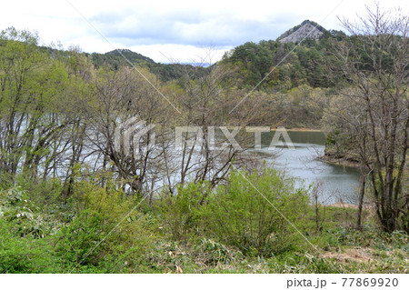 上山市にある「前川ダム」 77869920