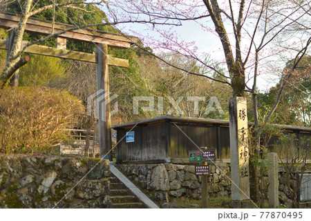 勝手神社 77870495